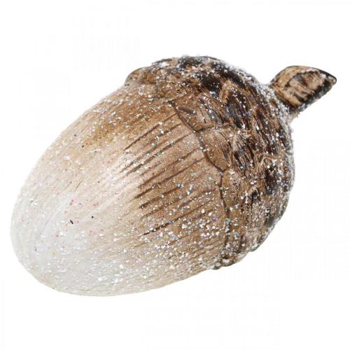 Floristik24 Dekor eikenøtt snødd keramisk dekorasjon høst 14×7,5×7,5cm 3stk