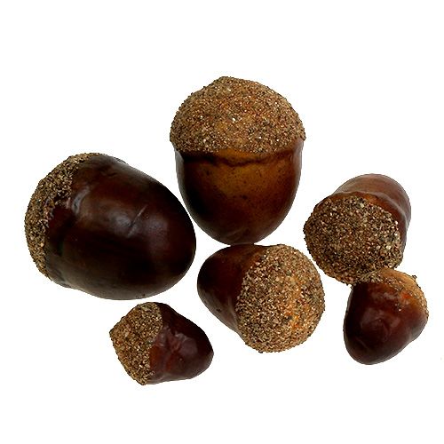 Eikenøtter blandet i et netto 12stk