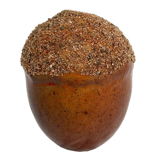 Floristik24 Eikenøtter blandet i et netto 12stk