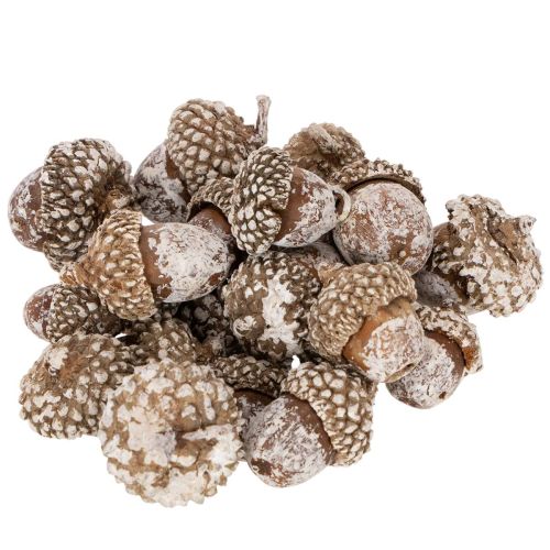 Eikenøtter, naturprodukt til dekorasjon, hvitkalkede, 1-3 cm, 300 g