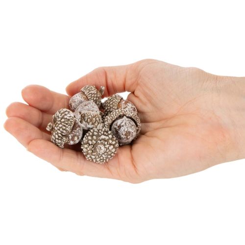 Eikenøtter, naturprodukt til dekorasjon, hvitkalkede, 1-3 cm, 300 g | Floristik24.no