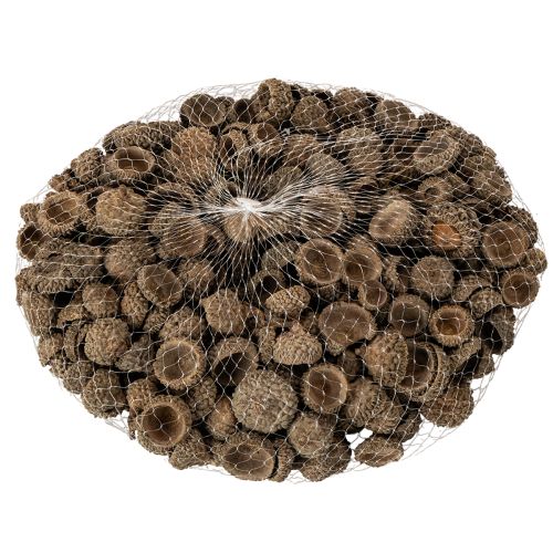 Naturlige eikenøtthatter, dekorative skåler til høst og advent, 2 cm, 300 g | Floristik24.no