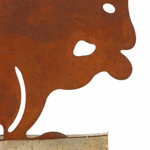 Floristik24 Ekornpatina på trebunnen 19cm x 25cm