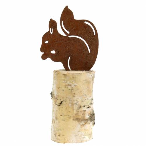 Floristik24 Ekornpatina på stammen H22cm