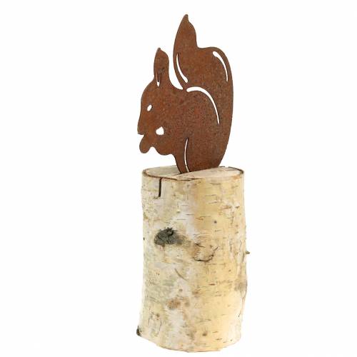 Floristik24 Ekornpatina på stammen H22cm