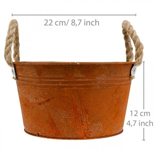 Floristik24 Metallkrukke med tauhåndtak, planteskål, høst, patina Ø22cm H12cm