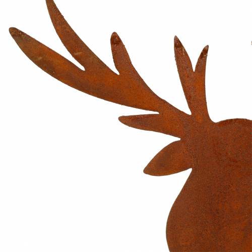 Floristik24 Elgpatina til stokk H58cm