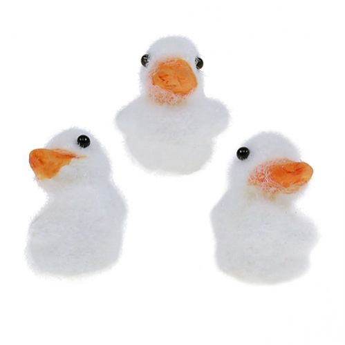 Floristik24 Duck mini strømmet 4cm hvit 12stk