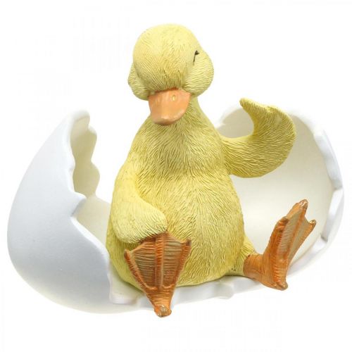 Floristik24 Klekket kylling, andefigur, andunge i egg H10cm B12,5cm