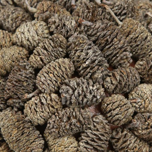 gjenstander Dekorativ kule av orkjegle til oppheng, hvitvasket, 20 cm