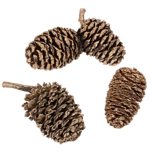 Alderkongler, naturprodukt til