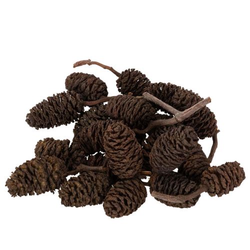 Naturlige orkongler, løse, til pynt, 3 cm, 300 g, naturbrun.