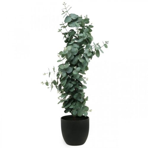 Floristik24 Eukalyptus i potte kunstig plante Kunstig plantedekor H87cm