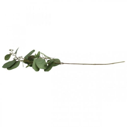 Floristik24 Kunstig deco gren eukalyptus med knopper kunstig plante 60cm