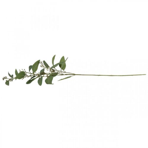 Floristik24 Kunstig eukalyptus gren med knopper deco gren 60cm