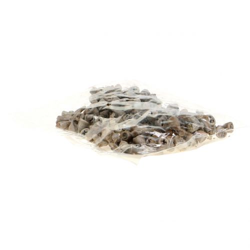 Floristik24 Eukalyptusfrukter vokset gråbrun 250g