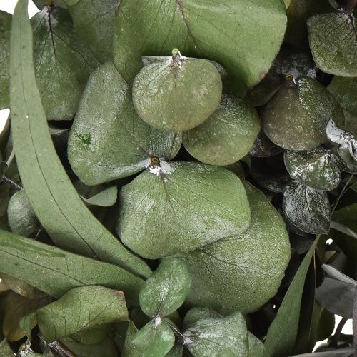 gjenstander Naturkrans av eukalyptus Ø35 cm med konservert duftdekorasjon