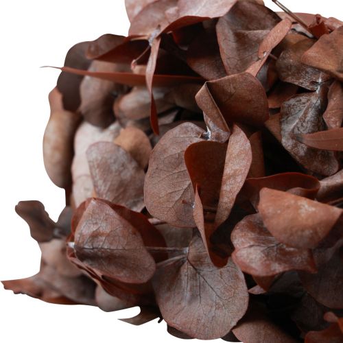 Floristik24 Eukalyptuskrans naturkrans eukalyptus bevart rød Ø33cm
