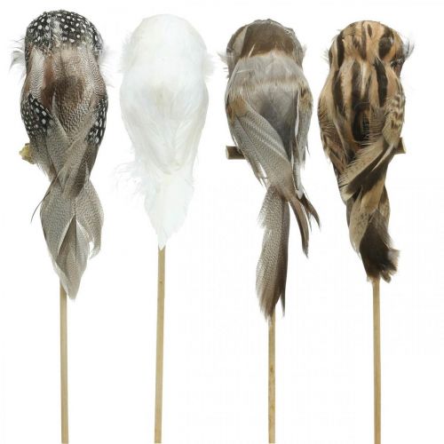 Floristik24 Blomsterplugg deco ugle med fjær hvit, brun H15cm 4stk