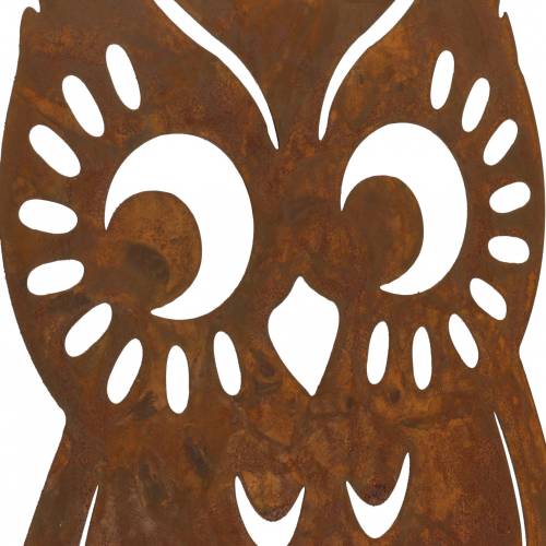 Floristik24 Uglepatina på bjørkestamme 42cm x 36cm