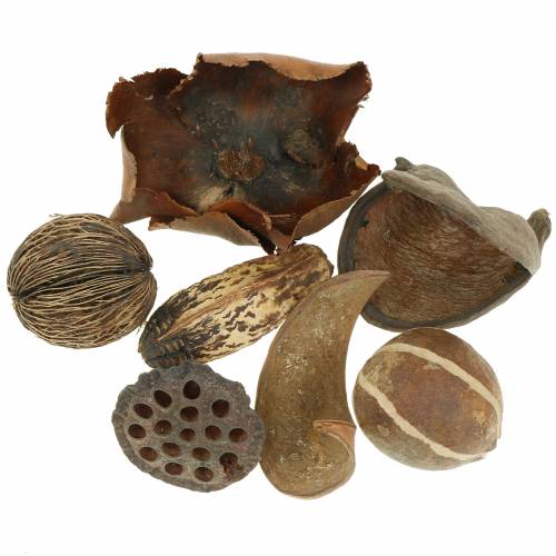 Eksotisk rekkevidde natur i nettet 200g