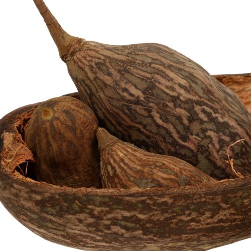 Floristik24 Baobab fruktblanding med skall 300g