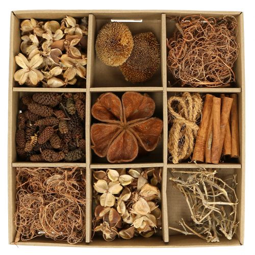 Floristik24 Eksotisk miks natur