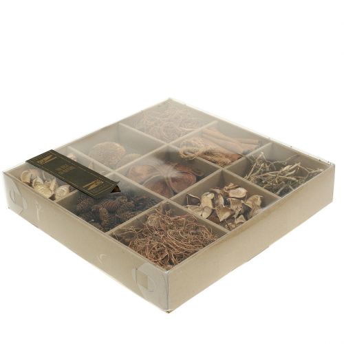 Floristik24 Eksotisk miks natur