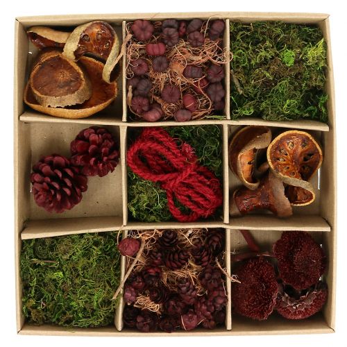 Eksotisk håndverkssett