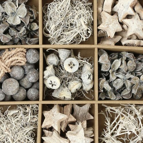 Floristik24 Eksotisk blanding vasket hvit