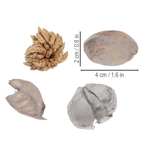 gjenstander Potpurri-borddekorasjon med nøtter for en naturlig sommerstemning