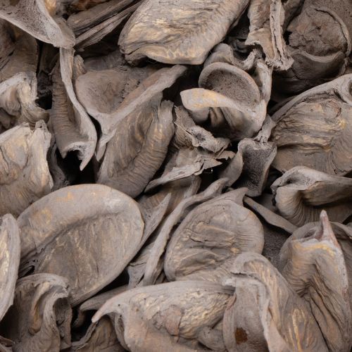 gjenstander Potpurri-borddekorasjon med nøtter for en naturlig sommerstemning