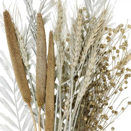 Floristik24 Tørkede blomster DIY Box Eksotisk tørr bukett Hvit, naturlig H55cm