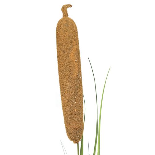 Floristik24 Kunstige planter, cattail kunstig, siv dekorasjon 92cm