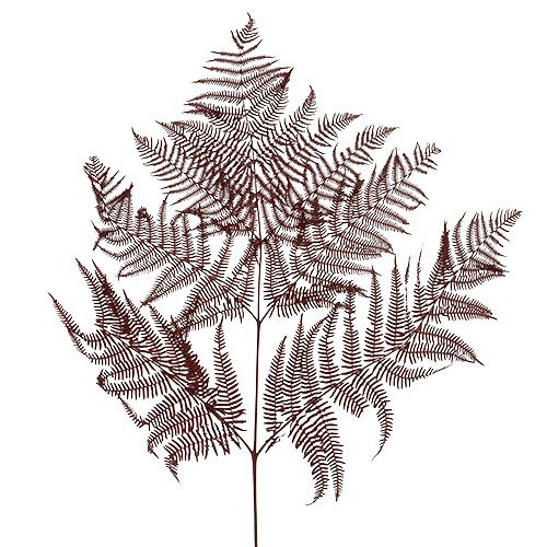 Floristik24 Bregnefarget rød 15 stk