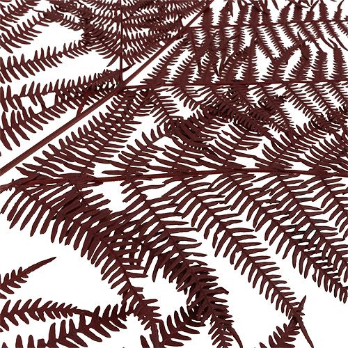 Floristik24 Bregnefarget rød 15 stk