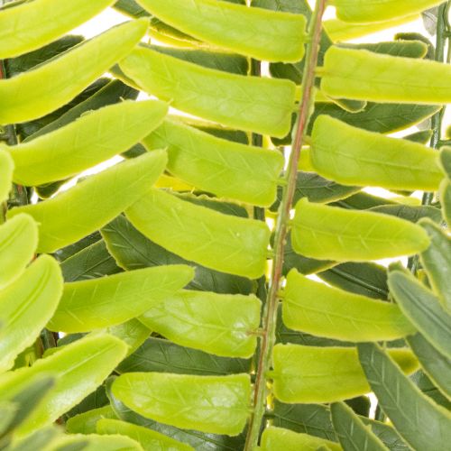 Kunstig bregnegren, kunstig grønn plante til dekorasjon, 45 cm | Floristik24.no