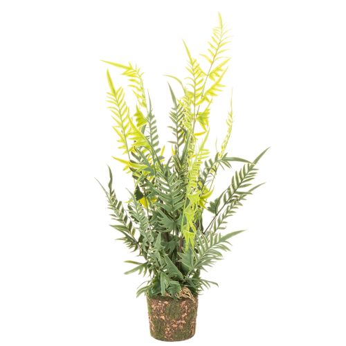Kunstig bregneplante med rotklump for dekorasjon av hjem og kontor, 57 cm kjøpe | Floristik24.no
