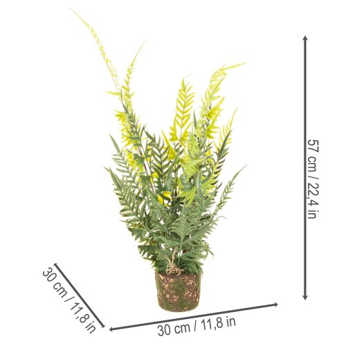 Kunstig bregneplante med rotklump for dekorasjon av hjem og kontor, 57 cm | Floristik24.no