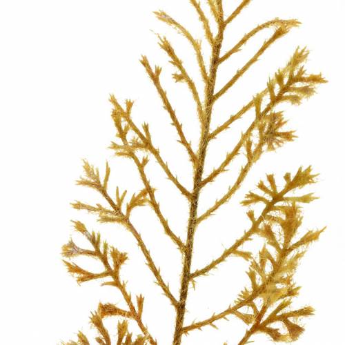 Floristik24 Kunstig bregne høstfarger 72cm 4 stk