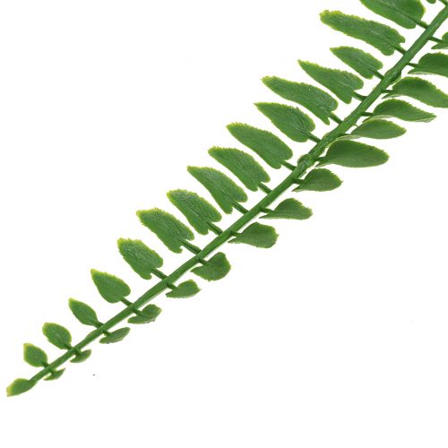 Floristik24 Fern leaf green 130cm 3stk