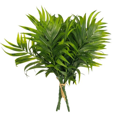 Floristik24 Palmeblader palmetre dekorasjon kunstige planter grønne 30cm 3stk