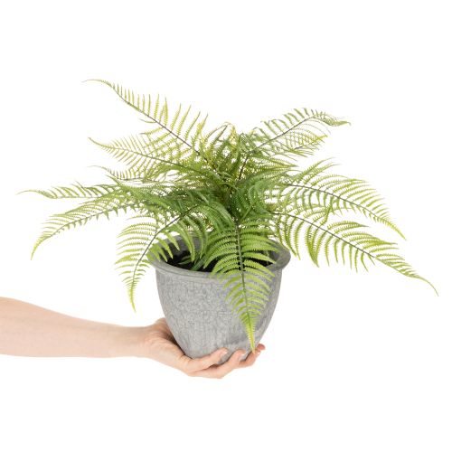 Kunstig bregne i en blomsterpotte til stue og kontor, 35 cm | Floristik24.no