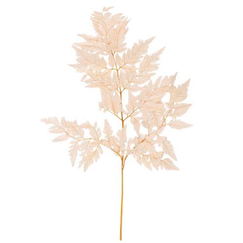 Tørket bregnedekorasjon til vase 42 cm 10 stk