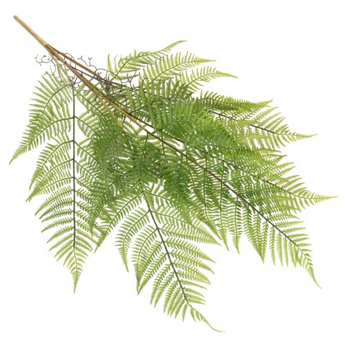 Kunstig bregnegren, dekorativ grønn plante for blomsteroppsatser, 80 cm | Floristik24.no