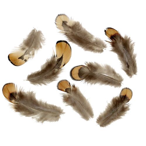 Fjærblanding naturlig 12g