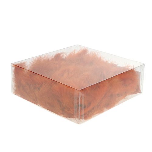 Floristik24 Fjær kort mørk oransje 30g