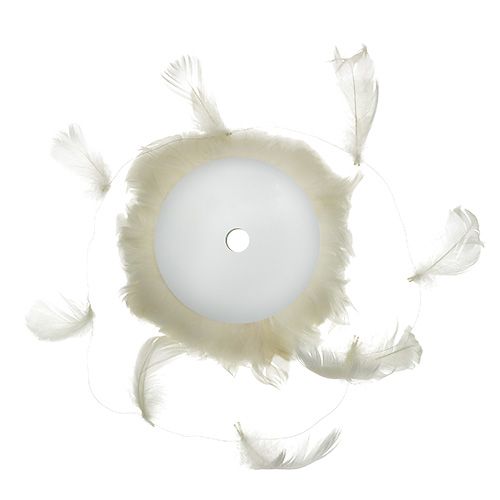 Floristik24 Fjær på trådkrem 10m