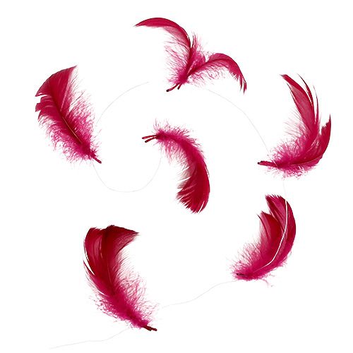 Floristik24 Fjær på ledning Erika 10m