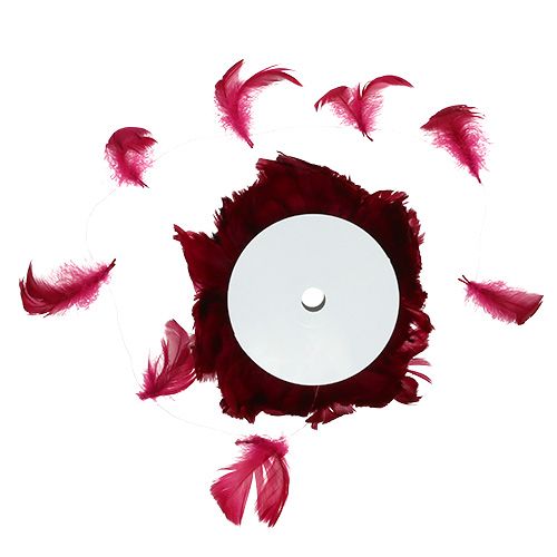 Floristik24 Fjær på ledning Erika 10m